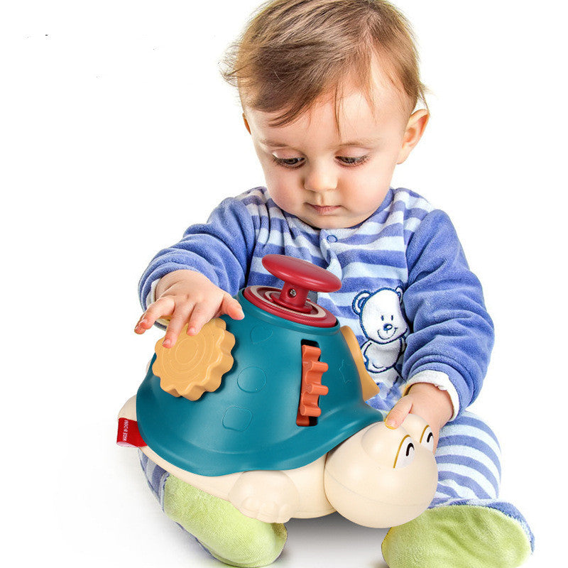 Turtle Finger Exploration Baby Early Education Toy